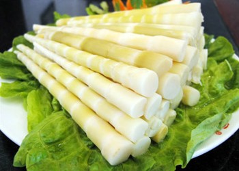 Bamboo-Shoots
