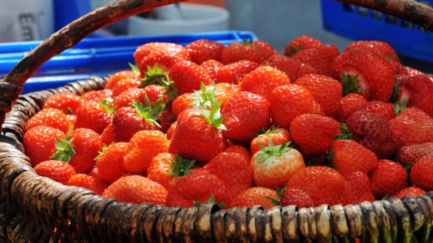 strawberries high fiber