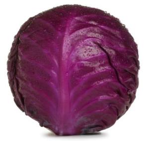 RED CABBAGE