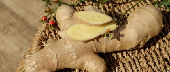 Ginger Root Benefits, amcoffee, am coffee, health
